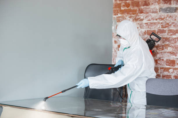 Best Industrial Mold Remediation  in Belle Glade, FL